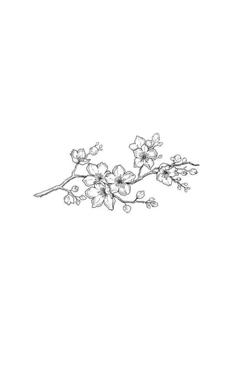 𝒞𝒽𝑒𝓇𝓇𝓎 𝐵𝓁𝑜𝓈𝓈𝑜𝓂𝓈 Japanese Cherry Blossom Tattoo Stencil, Apple Blossom Branch Tattoo, Apricot Blossom Tattoo, Cherry Blossom Branch Drawing, Cherry Blossom Flower Drawing, Almond Blossom Tattoo, Cherry Blossom Sketch, Small Cherry Blossom Tattoo, Ldr Tattoo