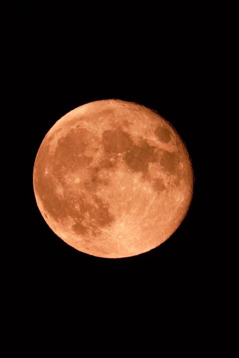 Strawberry Full Moon June 2023: Spiritual Meaning Strawberry Moon Ritual 2024, July Full Moon 2024, Strawberry Full Moon June 2024, July Full Moon, June Moon, Strawberry Full Moon, Full Moon June, Moon Capricorn, Full Strawberry Moon