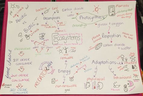 A revision sketchnote for Year 8 Science on ecosystems Science Revision, Year 8, Plant Cell, Sketch Notes, Carbon Dioxide, Ecosystem, Science, Quick Saves