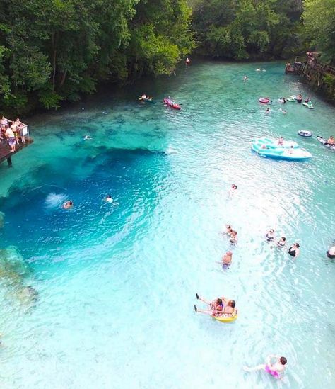 Gilchrist Blue Springs State Park is one of the many natural spring parks within the state. The park contains a collection of natural springs, including a large second-magnitude spring that produces an average of 44 million gallons of water per day. This spring, known as Gilchrist Blue, has outstanding water clarity and discharges water through a shallow spring run about one-quarter mile to the Santa Fe River. Mainstream Adventures, Blue Springs State Park, Florida Adventures, Water Per Day, Florida Sunshine, Florida Springs, Natural Spring, Florida Trip, Spring Park