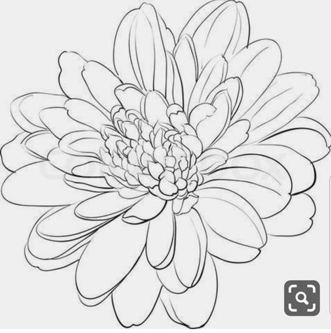 Flowers Dictionary, Mum Flowers Tattoo, November Flower Tattoo Chrysanthemums, November Tattoo Ideas, Chrysanthemum Flower Drawing, November Flower Tattoo, Chrysanthemum Drawing, Chrysanthemum Painting, November Flower