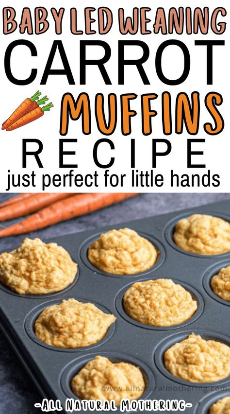 Toddler Veggie Muffins, Premade Freezer Meals, Baby Led Weaning Muffins, Healthy Toddler Muffins, Carrot Muffins Recipe, Recipe With Carrots, Healthy Carrot Muffins, Healthy Muffins For Kids, Healthy Carrot Cake Muffins