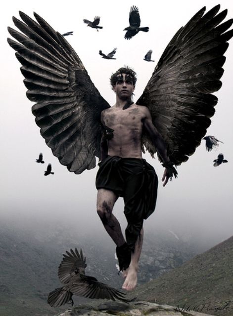 “We have to continually be jumping off cliffs and developing our wings on the way down.”  ― Kurt Vonnegut Male Angels, Ange Demon, Black Wings, Angel Pictures, Foto Art, Angels And Demons, Dark Angel, Fairy Angel, Angel Art