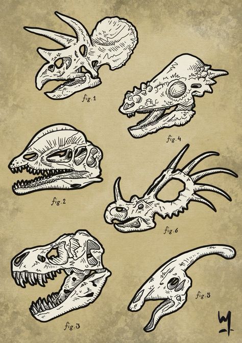 Dinosaur Skull Tattoo Design, Dinosaur Bones Illustration, Dinosaur Fossils Drawing, Animal Skeletons Tattoo, Dinosaur Leg Sleeve Tattoo, Dino Bones Tattoo, Vintage Dinosaur Illustration, Dinosaur Flash Tattoo, Dino Skeleton Tattoo