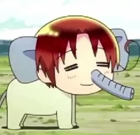 Pawoon Cursed Hetalia, Hetalia Meme, Aph Italy, Hetalia Memes, Hetalia Funny, Reaction Images, A Circle, To The Moon, Shine Bright