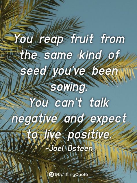 You reap fruit from the same kind of seed you've been sowing. You can't talk negative and expect to live positive Joel Osteen Joel Osteen Quotes Encouragement, Guide Me Lord, Recovery Sayings, Joel Osteen Quotes, Quotes Encouragement, Awesome God, Joel Osteen, Christian Love, Positive Living