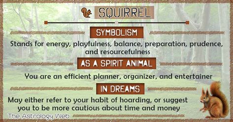 Squirrel Symbolism Spirit Animal Dream Squirrel Meaning, Animal Totem Spirit Guides, Spirit Animal Meaning, Native American Totem, Animal Meanings, Animal Tarot, Spirit Animal Totem, Animal Spirit Guides, Magick Book