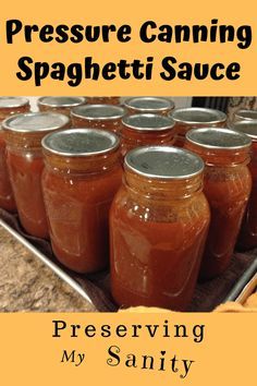 Pressure Can Spaghetti Sauce, Pressure Canning Spaghetti Sauce Recipes, Pressure Canning Marinara Sauce, Pressure Canning Tomato Sauce, Eggplant Spaghetti Sauce, Pressure Canning Spaghetti Sauce, Canned Spaghetti Sauce Recipe, Spegetti Sauce, Canning Spaghetti Sauce