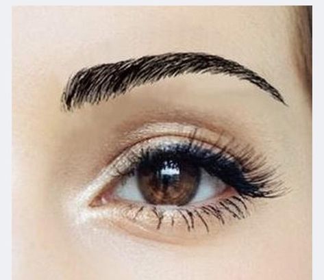 Slim Eyebrows, False Eyebrows, Tattoo Eyebrows, Beautiful Definitions, Types Of Eyebrows, Straight Eyebrows, Rough Night, Megan Brown, Beauty Eyebrow