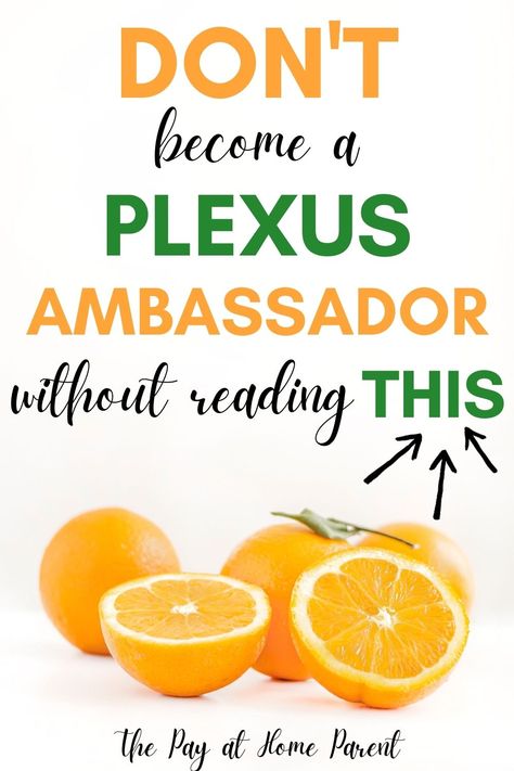 Become A Brand Ambassador, Plexus Ambassador, Plexus Worldwide, Leadership Abilities, Vendor Events, Busy At Work, Art Tutorial, Home Based Business, Brand Ambassador