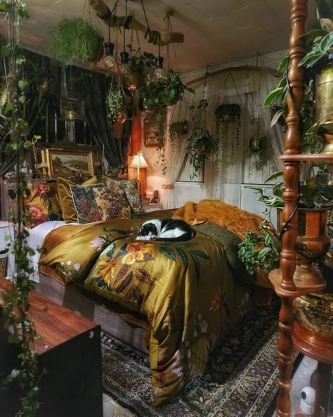 Apt Decor, Plant Magic, Inspire Me Home Decor, Dream House Rooms, Pretty Room, Dreamy Room, Apartment Decor Inspiration, Dream Room Inspiration, Room Makeover Bedroom