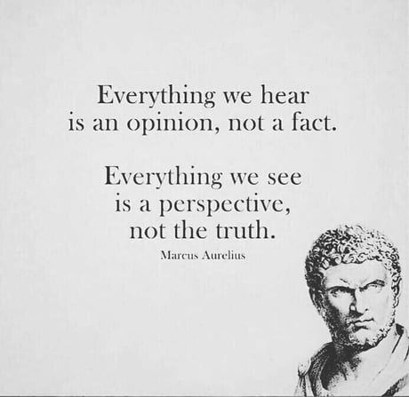 Until it’s you stepping in dog poop and having to clean it off your own shoes with your time and resources... Stoic Quotes, Philosophical Quotes, Literature Quotes, Quote Board, Philosophy Quotes, Content Ideas, Philosophers, Awesome Things, Quotable Quotes