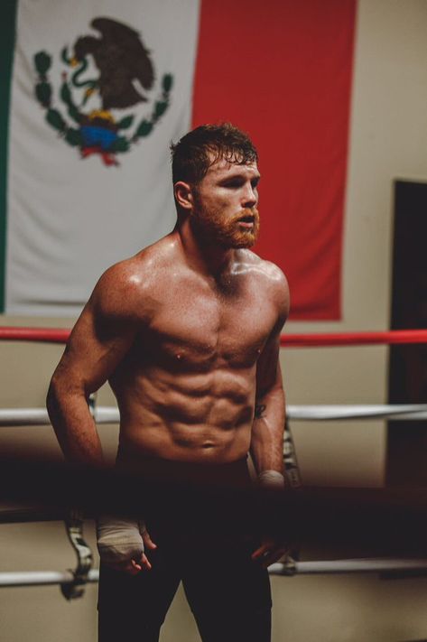 “Por mi familia, por mi gente y por mi país” Canelo Álvarez Saul Canelo Alvarez, Boxing Training Workout, Boxing Images, Trening Sztuk Walki, Ufc Boxing, Boxing Posters, Ufc Fighters, Boxing Champions, Mma Boxing