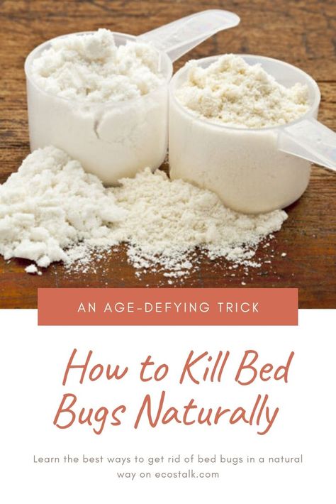 Natural Bed Bug Remedies, How To Get Rid Of Bed Bugs Naturally, How To Get Rid Of Bed Bugs For Good, Kill Bed Bugs Fast, Getting Rid Of Bed Bugs Fast, How To Kill Bed Bugs, How To Check For Bed Bugs, How To Get Rid Of Bed Bugs Fast Diy, Get Rid Of Bed Bugs Fast Diy