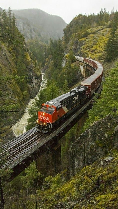 Scenic Train Rides, Scenic Railroads, Luxury Train, Model Train Scenery, Railroad Photography, Railroad Photos, Train Photography, Old Trains, Train Pictures