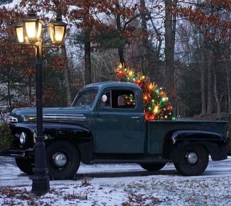 Meet Cute Aesthetic, A Merry Little Meet Cute, Meet Cute, Driving Home For Christmas, Old Truck, I Love Winter, Christmas Wonderland, Winter Is Here, Believe In Magic