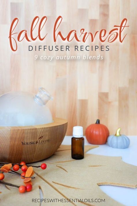 9 Fall Harvest Diffuser Blend Recipes Clean Fall Diffuser Blends, November Diffuser Blends, Diffuser Blends Young Living, Fall Essential Oils, Fall Diffuser Blends, Time In Nature, Spa Business, Harvest Recipes, Diffuser Blend