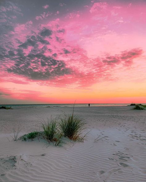 🌊Sarasota Florida 🌅 on Instagram: “📸 @_sunsetandchill_ ~~~~~~~ To submit use #sarasota_florida, DM me, and or Tag me in your post! ~~~~~~~ #sarasota #sarasotaflorida #florida…” Hobo Chic, Southwest Florida, Siesta Key, Sarasota Florida, Custom Closet, Naples Fl, City Aesthetic, Summer Travel, Sarasota