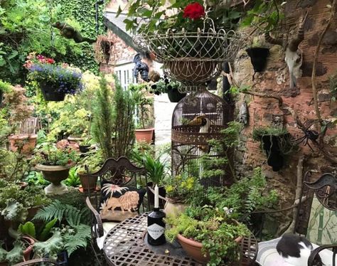 Messy Garden Aesthetic, Messy Garden, Garden Aesthetic, Vintage Garden Decor, Vintage Garden, House Ideas, Garden Decor, Exterior, Plants