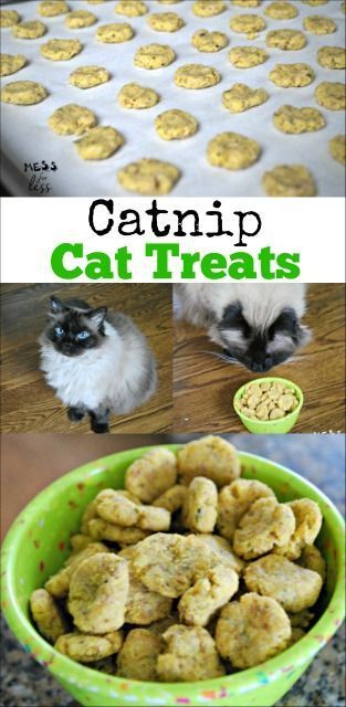 Diy Cat Treats, Catnip Treats, Pet Recipes, Homemade Pet Treats, Pet Treats Recipes, Kat Diy, Chat Diy, Homemade Cat Food, Catnip Cat