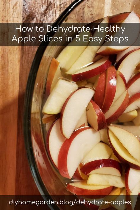 dehydrate apples Dehydrate Apples, Dry Apples, Dehydrating Apples, Muffins Apple, Apple Overnight Oats, Healthy Trail Mix, Dehydrated Apples, Homemade Apple Butter, Food Cost