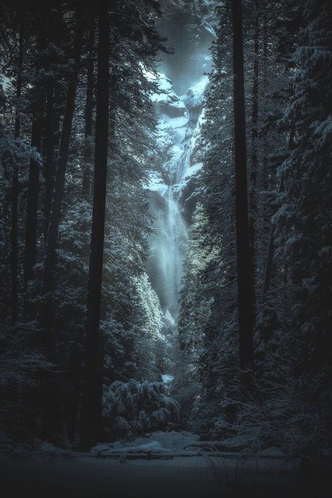 Dark Forest Aesthetic, Snow Forest, National Park California, Night Forest, Rpg Map, Snowy Forest, Dark Nature Aesthetic, Fantasy Places, Winter Scenery