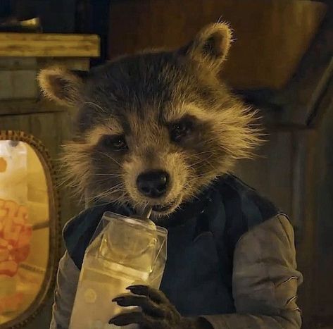 Rocket Galaxia Wallpaper, Rocket Racoon, Rocket Raccoon, Trash Panda, Marvel Films, Marvel 3, Marvel Wallpaper, Racoon, Marvel Memes