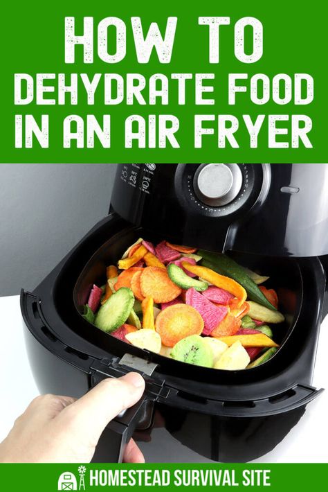 Ninja Air Fryer Dehydrator Recipes, Air Fryer Dehydrator Recipes, Dehydrating In Air Fryer, Foods To Dehydrate, Dehydrated Vegetables, Crispy French Fries, Best Air Fryer, Best Air Fryers, Healthy Snack Options