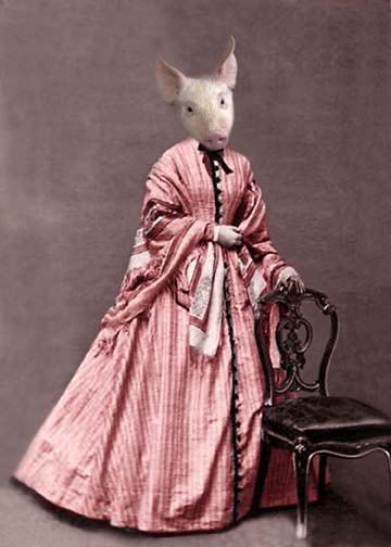 Peggy - Vintage Pig Print - Anthropomorphic - Altered Photo - Funny Animal - Victorian Pig - Collage Art - Pig in Pink Dress Fashion Installation, Pig Dress, Pig Print, Altered Photo, 5x7 Print, Female Photographers, Animal Heads, Funny Animal, Funny Photos