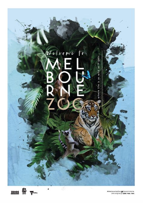 Designed by Stephanie Wills Unit 4 VCE Vis Com- Melbourne Zoo  Promotional Poster Zoo Poster Design Graphics, Zoo Brochure Design, Safari Poster Design, Zoo Flyer, Photography Workshop Poster, Zoo Poster Design, Safari Poster, Zoo Poster, New Zealand Wildlife