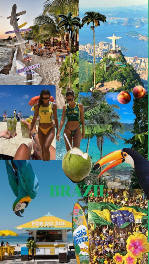 #brazil #summer #vacation #flowers #drinks #collage #palmtrees #coconut Brazil Collage, Brazil Summer, Jamaican Culture, Coconut Drinks, How To Become Rich, Travel Dreams, Summer Vacation, Dream Life, Palm Trees