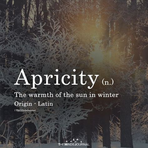 Apricity Citation Nature, Unique Words Definitions, Uncommon Words, Fancy Words, One Word Quotes, Weird Words, Unusual Words, Rare Words, Word Definitions