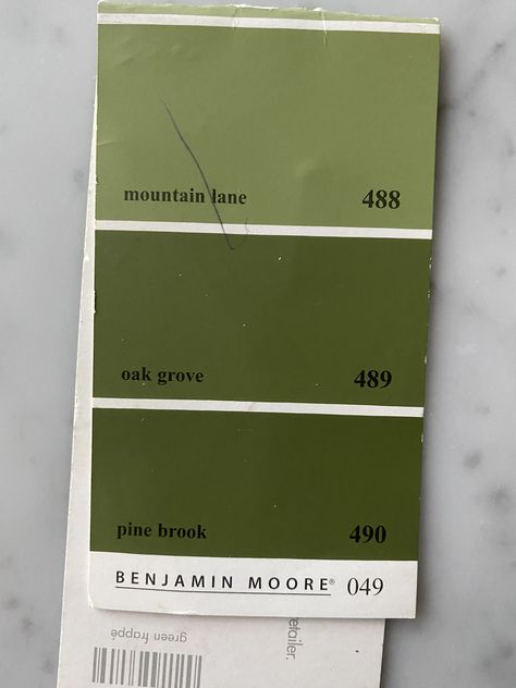 Green Pallet, Orange Cabinets, Oak Grove, Falling Back In Love, Kitchen Colour Schemes, Paint Colors Benjamin Moore, Benjamin Moore Paint, Kitchen Color, Benjamin Moore