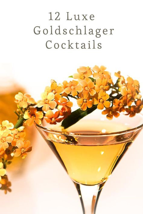 Goldschlager is easily recognizable by the gold flakes in the bottle. If you like the aesthetic of it but aren’t sure how to use this cinnamon liqueur, don’t worry! Here are 12 Goldschlager cocktails to fit every palette. Drinks With Goldschlager, Golden Cocktails Drinks, Goldschlager Shots, Goldschlager Drinks Recipes, Goldschlager Cocktails, Goldschlager Drinks, Gold Shots, Drink Essentials, Cinnamon Cocktail