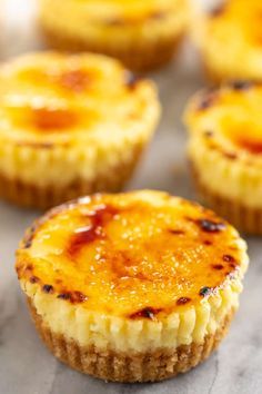 All of the delicious flavors of creme brûlée in an easy to make mini cheesecake cupcake. You'll love these delicious little single serve desserts! #minicheesecakesrecipe #cremebrulee #cupcakes Creme Brulee Recept, Mini Cheesecake Cupcakes, Brulee Cheesecake, Cupcakes Cheesecake, Cheesecake Cupcake, Biscotti Cheesecake, Creme Brulee Cheesecake, Resepi Biskut, Creme Brulee Recipe