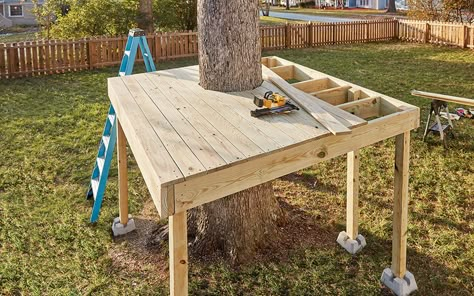 a treehouse with only the platform and outer posts built How To Build Treehouse Platform, Tree House Platform Diy, Treehouse She Shed, Fort Around Tree, Diy Tree Platform, Tree Platform Diy, Diy Simple Tree House, Platform Treehouse Plans, Diy Platform Treehouse