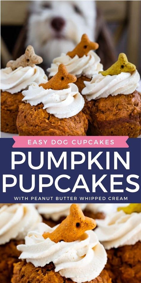 Carrot Dog Cake, Pupcakes Dog, Cupcakes For Dogs Recipe, Pupcake Recipe, Dog Cake Recipes, Carrot Dogs, Pet Treats Recipes, Easy Dog Treat Recipes, Dog Cupcakes