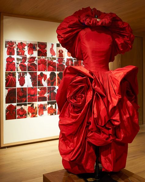 Alexander Mcqueen Couture, Red Rose Dress, Mc Queen, Sarah Burton, Silk Tulle, Fashion Revolution, Jacquard Dress, Student Fashion, Rose Dress