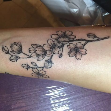 Cherry Blossom Tattoo Men, Blossom Tattoo Design, Cherry Blossom Tattoo Design, Cherry Blossom Tattoo Ideas, Cherry Tree Tattoos, White Flower Tattoos, Black And White Flower Tattoo, Cherry Blossom Tattoos, Cherry Blossom Tree Tattoo