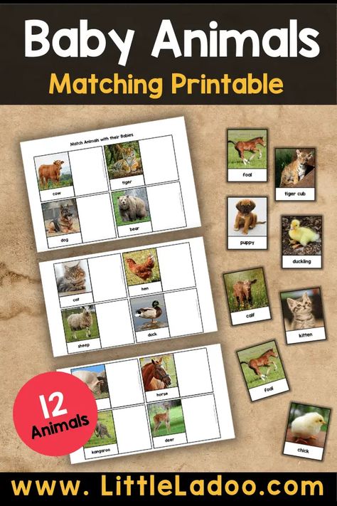 Animal Cognitive Activities, Baby Animals Theme Preschool, Animal Families Preschool, Baby Animals Crafts Preschool, Baby Animals Activities Preschool, Animals And Their Babies Free Printable, Baby Animal Activities Preschool, Pets Toddler Activities, Baby Animals Activities