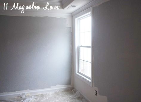 Dutch Boy Elephant Trunk Paint Color, Dutch Boy Paint Colors, Dutch Boy Paint, Boys Bedroom Paint, Painted Trunk, Grey Paint, Grey Paint Colors, Bedroom Paint Colors, Bedroom Paint