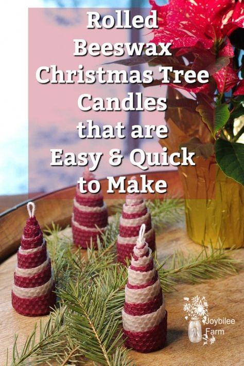 Rolled beeswax Christmas tree candles are a fun and economical way to bring some cheer to your table or tree decorations. They are easy to make even for children, with a little help.  Use them for gift toppers, tree decorations, and table decor.  #beeswaxcandles, #rolledcandles, #beeswax Beeswax Recipes, Havdalah Candle, Ruler Crafts, Rolled Beeswax Candles, Rolled Candles, Tree Candles, Diy Gifts To Make, Winter Holiday Decorations, Hanukkah Candles