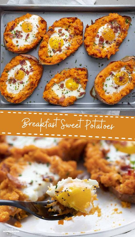 Sweet potatoes are one of my favorite side dishes. They are packed with nutrients and can be made sweet or savory. Breakfast Sweet Potatoes are sweet potatoes filled with all your favorite breakfast foods, like bacon, egg, and cheese! Egg And Sweet Potato Casserole, High Protein Sweet Potato Breakfast, Sweet Potato Breakfast Ideas, Sweet Potato And Eggs Breakfast, Low Calorie Sweet Breakfast, Sweet Potato With Egg, Quick Sweet Potato Recipes, Sweet Potato Egg Breakfast, Breakfast Sweet Potatoes