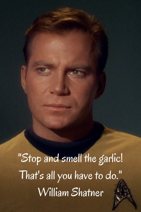 From William Shatner to William Shakespeare, plenty of famous folks have spoken about their love (and umm, less than love) of garlic over the years. Click through for more great garlic quotes! #garlic #kirk #shatner Captain Kirk Quotes, Star Trek Quotes, James T Kirk, Star Trek Captains, Star Trek Original Series, Star Trek Original, Captain Kirk, Starship Enterprise, William Shatner