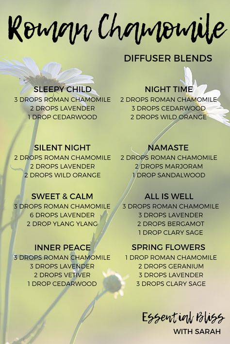 Diffuser blend suggestions using dōTERRA Roman Chamomile Roman Chamomile Diffuser Blends, Chamomile Diffuser Blends, Roman Camomile, Roman Chamomile Essential Oil, Doterra Diffuser, Helichrysum Essential Oil, Doterra Diffuser Blends, Essential Oil Combinations, Aromatherapy Recipes