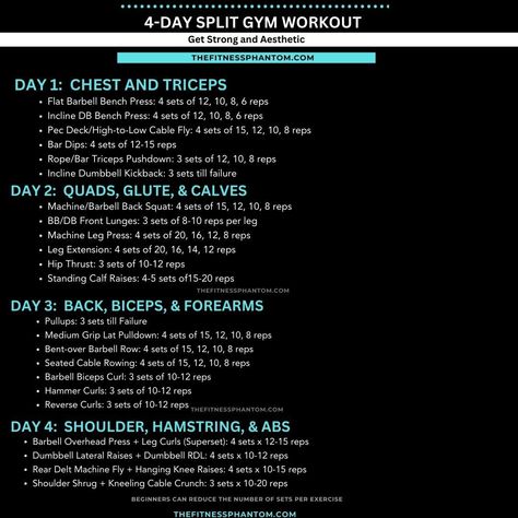 The 4-day workout split focuses on all major muscle groups within a week. It allows ample recovery time between workouts, which is crucial for building muscle and avoiding injury. The 4-day workout split can be customized to fit your fitness level and goals, with the ability to adjust weights and reps as needed. Full Routine: https://thefitnessphantom.com/4-day-gym-workout-schedule-for-gain Workout Split Schedule, 4 Day Workout Split, Best Chest Workout Routine, 4 Day Split Workout, Gym Workout Schedule, 4 Day Workout, Major Muscle Groups, Chest Workout Routine, Workout Split