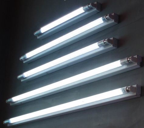 fluorescent Fluorescent Tube Light, Fluorescent Lights, Led Tube Light, Fluorescent Lamp, Fluorescent Tube, Led Tubes, Tube Light, Plant Lighting, Lamp Cover