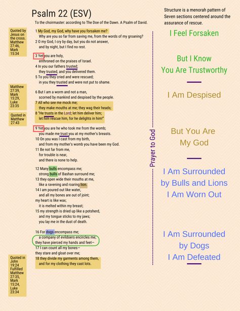 Psalm 22 Psalm Study, Psalms Study, God Is Able, Wisdom Bible, Psalm 22, Bible Psalms, Revelation Bible, Study Plans, The Psalms