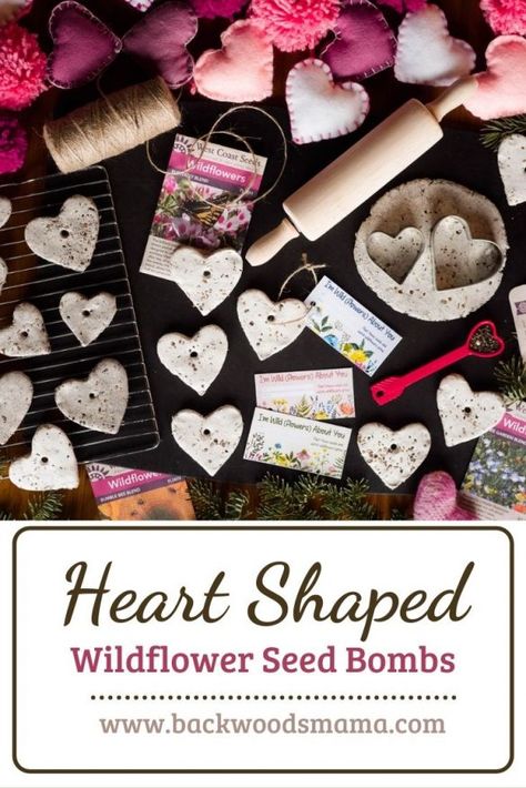 Seed Paper Diy, Earth Friendly Crafts, Flower Seeds Packets, Heart Shaped Cookies, Valentine Crafts For Kids, Flower Bomb, Seed Paper, Shape Crafts, Cadeau Diy