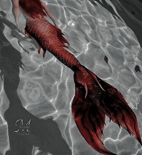 Mermaid Tail Aesthetic, Realistic Mermaid, Dark Mermaid, Siren Mermaid, Red Mermaid, Mako Mermaids, Real Mermaids, Mermaid Pictures, Mermaid Tale